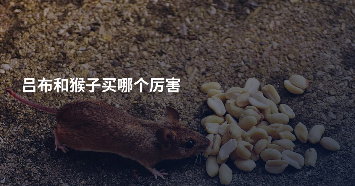 吕布和猴子买哪个厉害