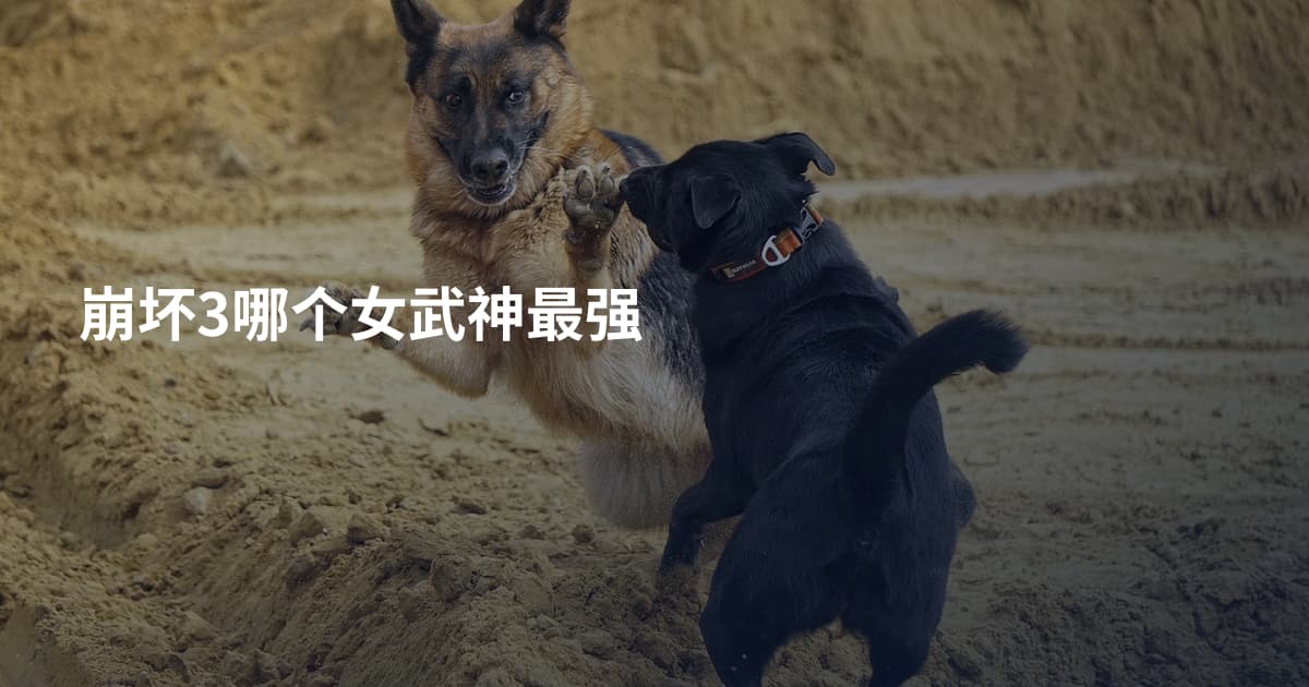 崩坏3哪个女武神最强
