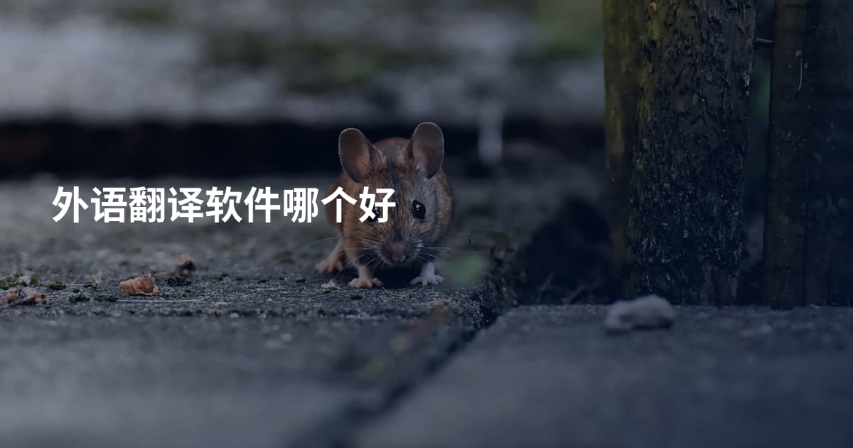 外语翻译软件哪个好