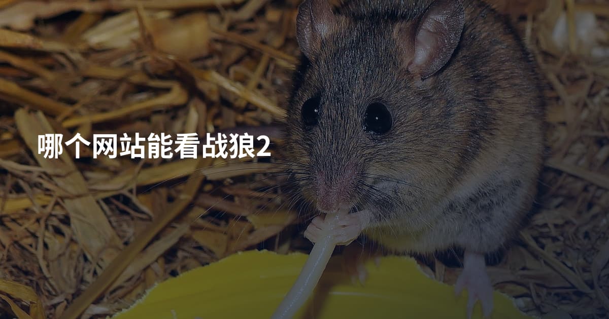 哪个网站能看战狼2