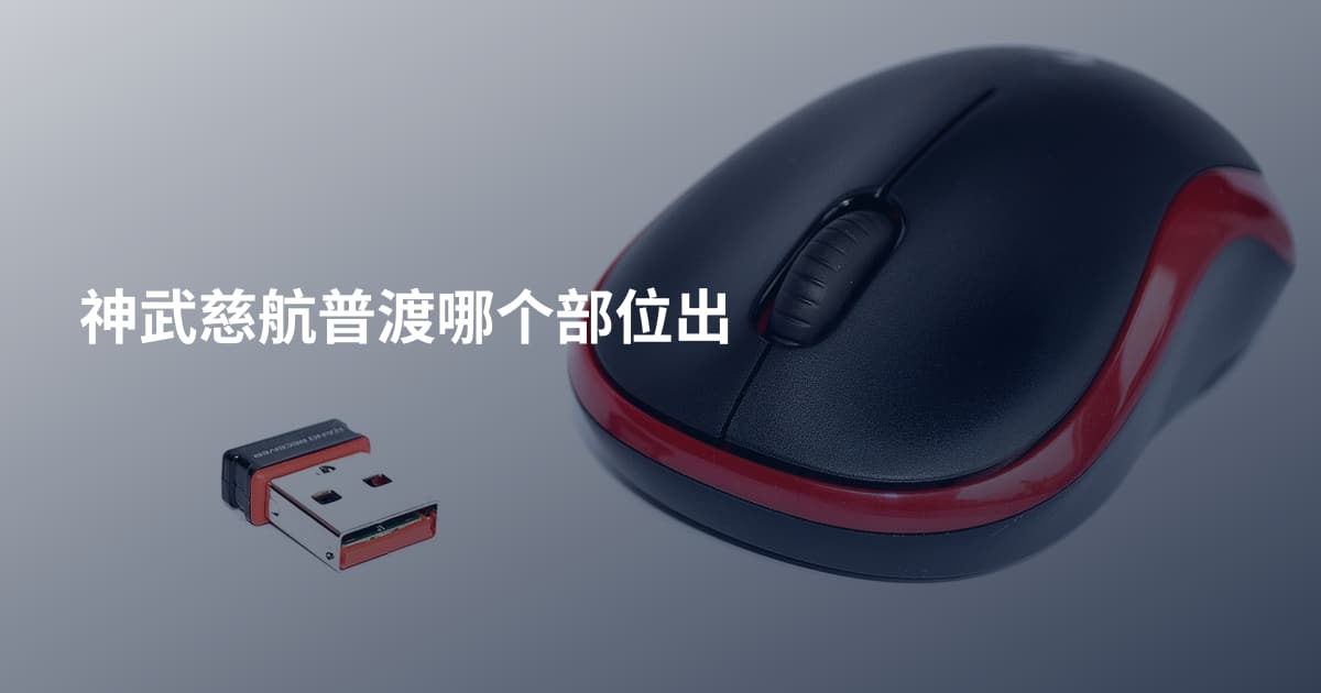 神武慈航普渡哪个部位出