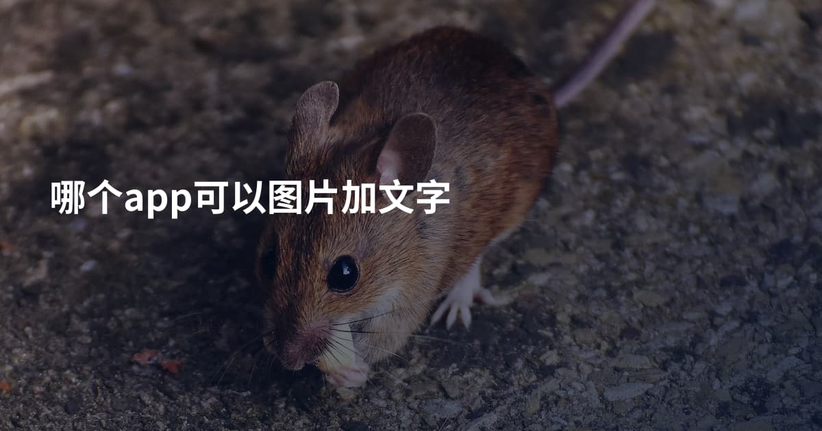 哪个app可以图片加文字