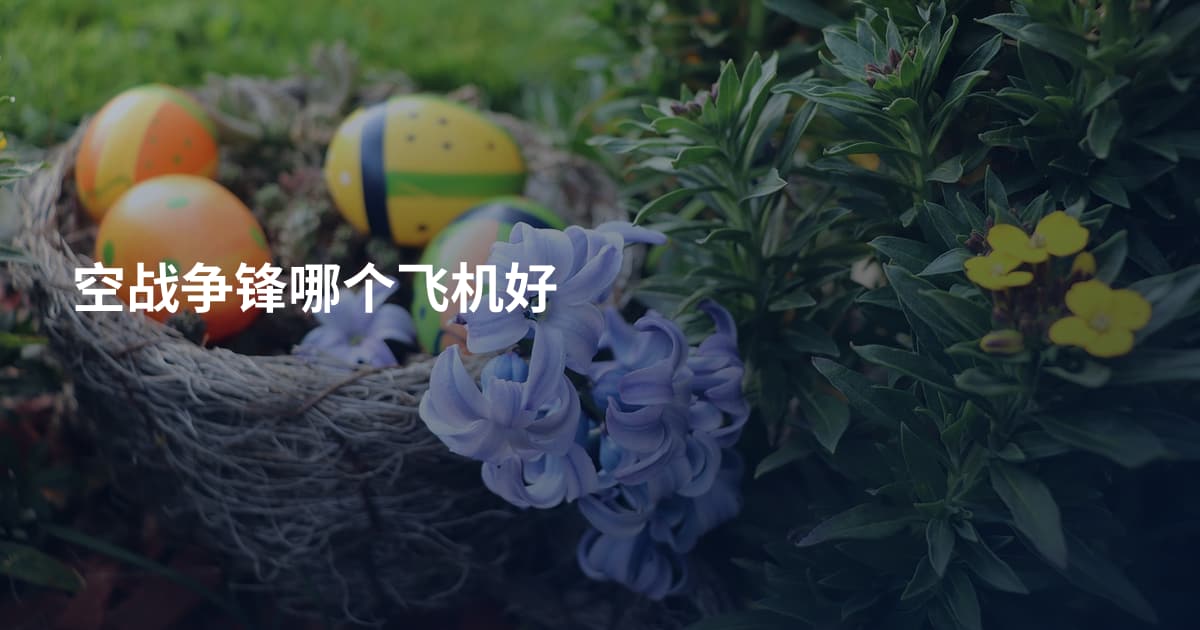 空战争锋哪个飞机好