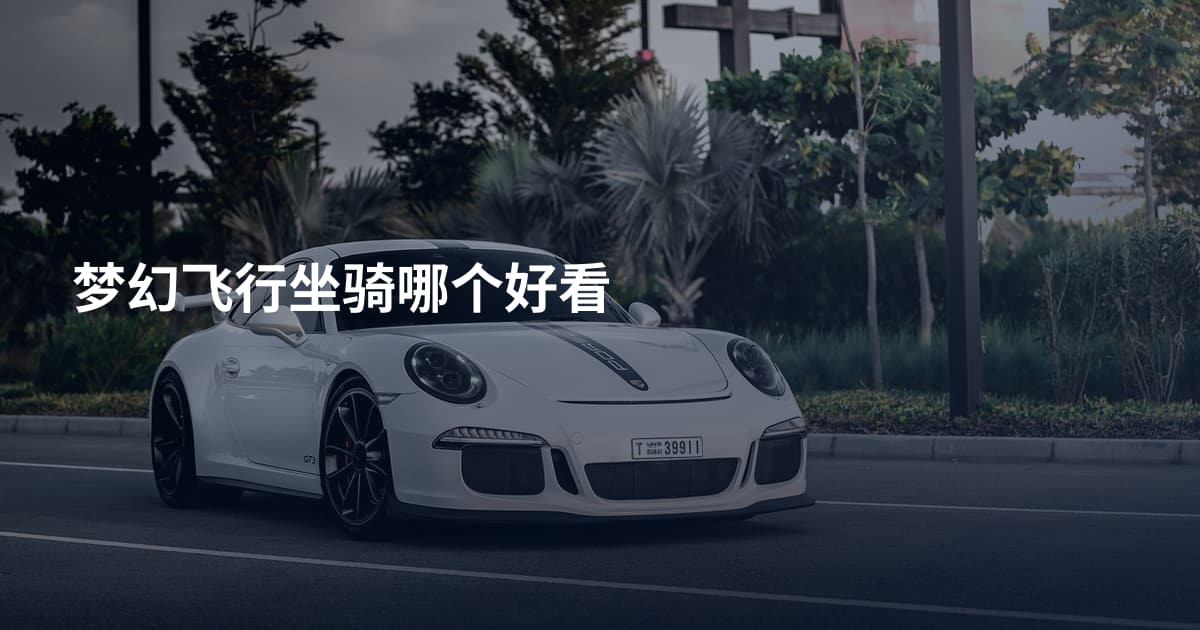 梦幻飞行坐骑哪个好看