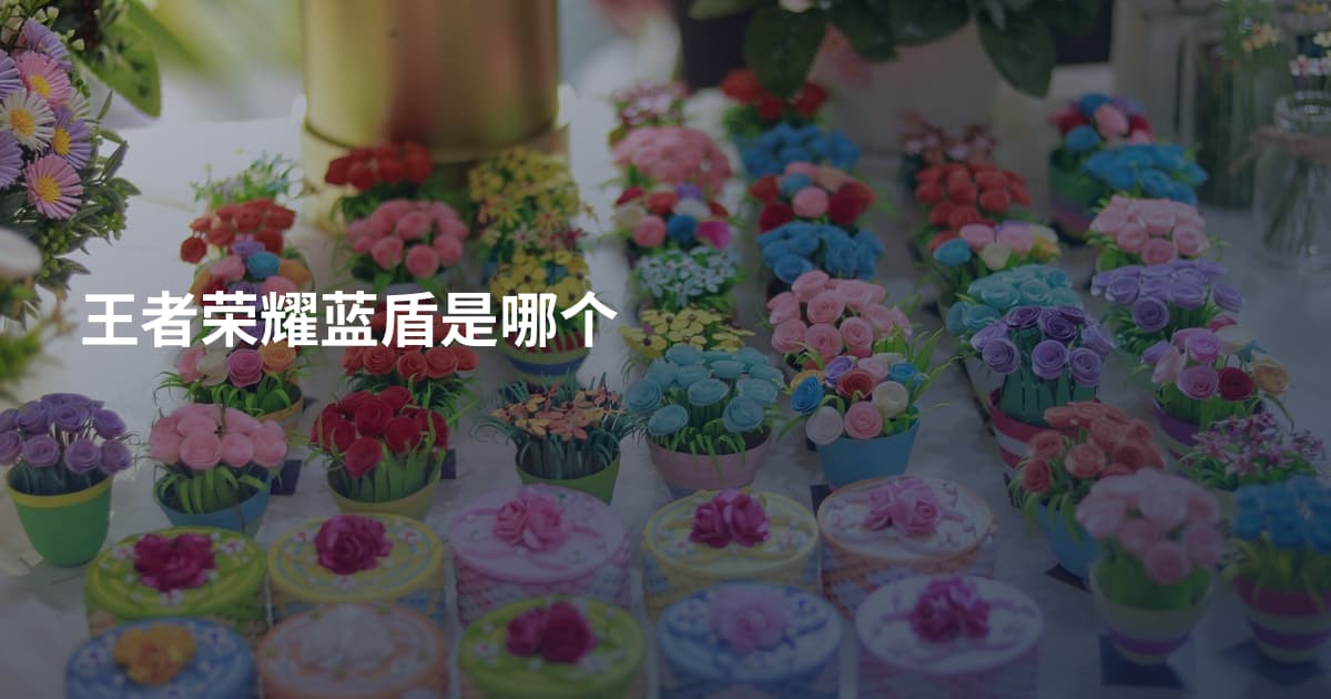 王者荣耀蓝盾是哪个