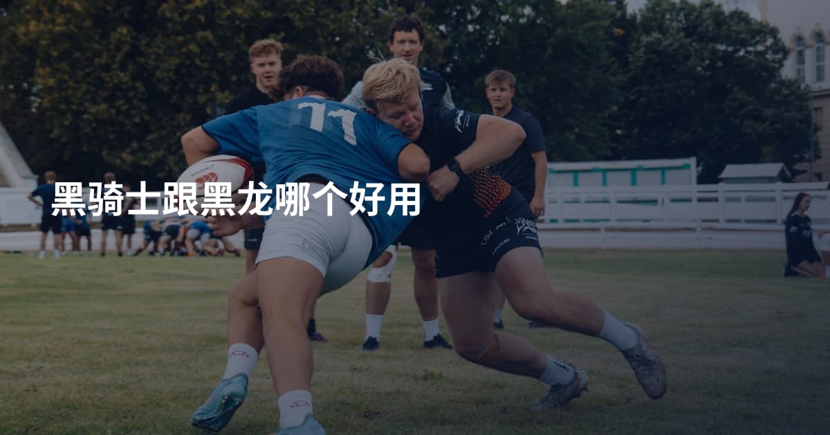 黑骑士跟黑龙哪个好用
