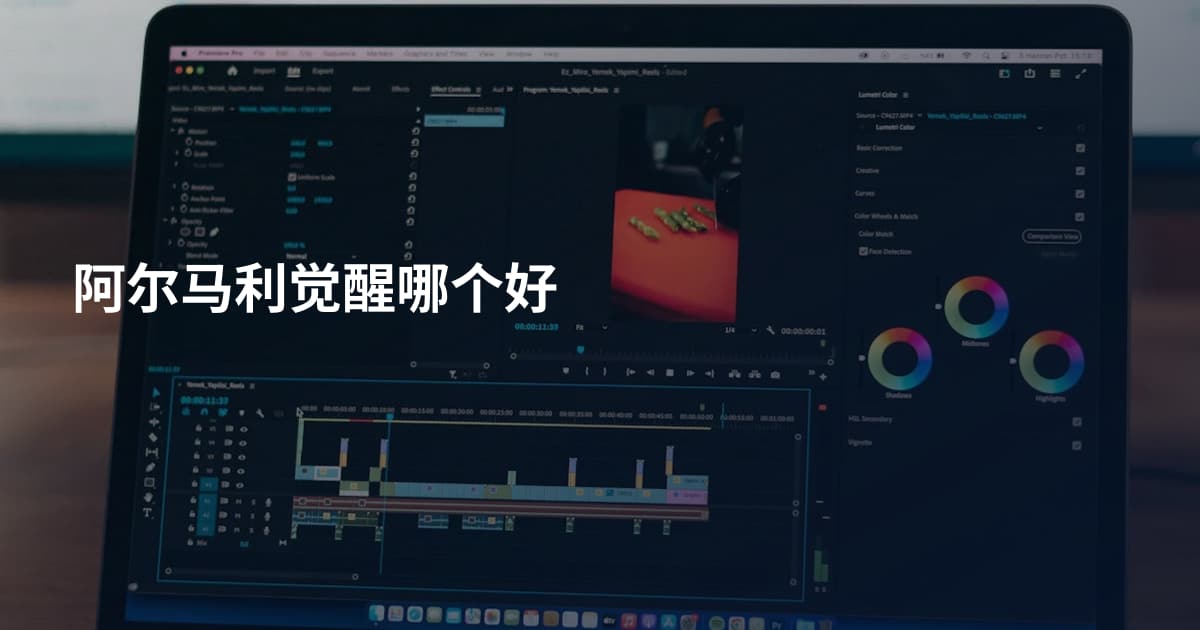 阿尔马利觉醒哪个好