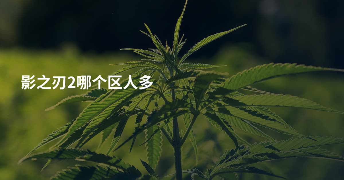 影之刃2哪个区人多
