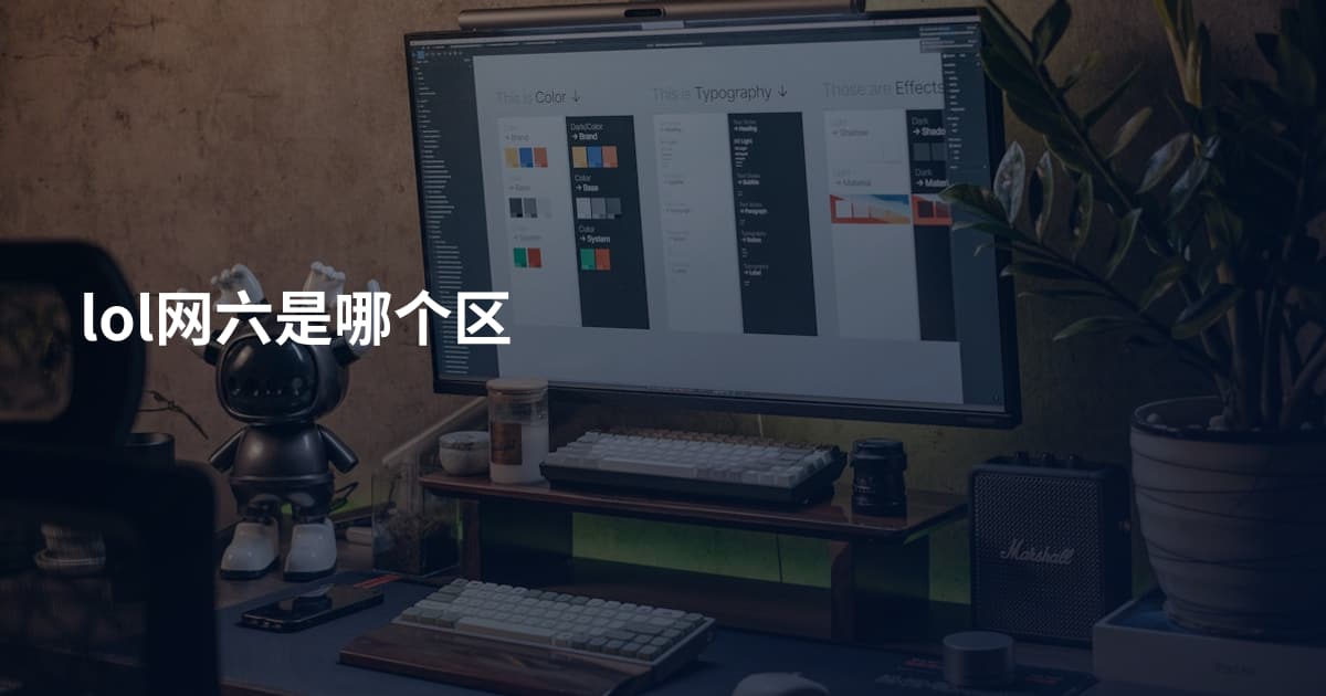 lol网六是哪个区