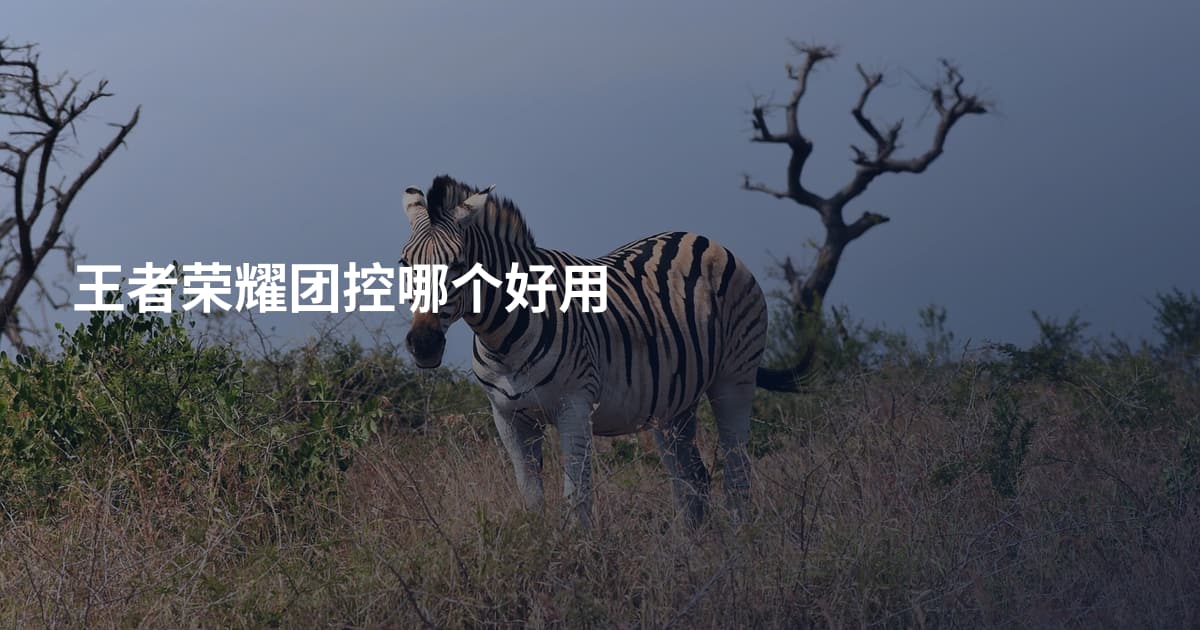 王者荣耀团控哪个好用