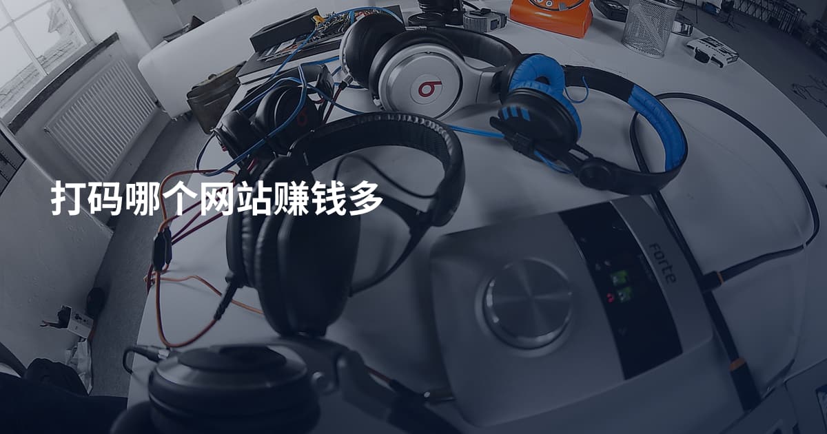 打码哪个网站赚钱多