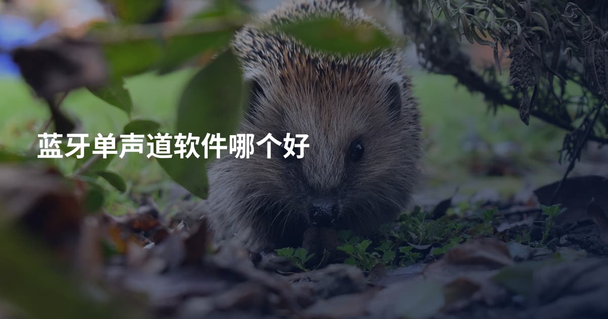 蓝牙单声道软件哪个好