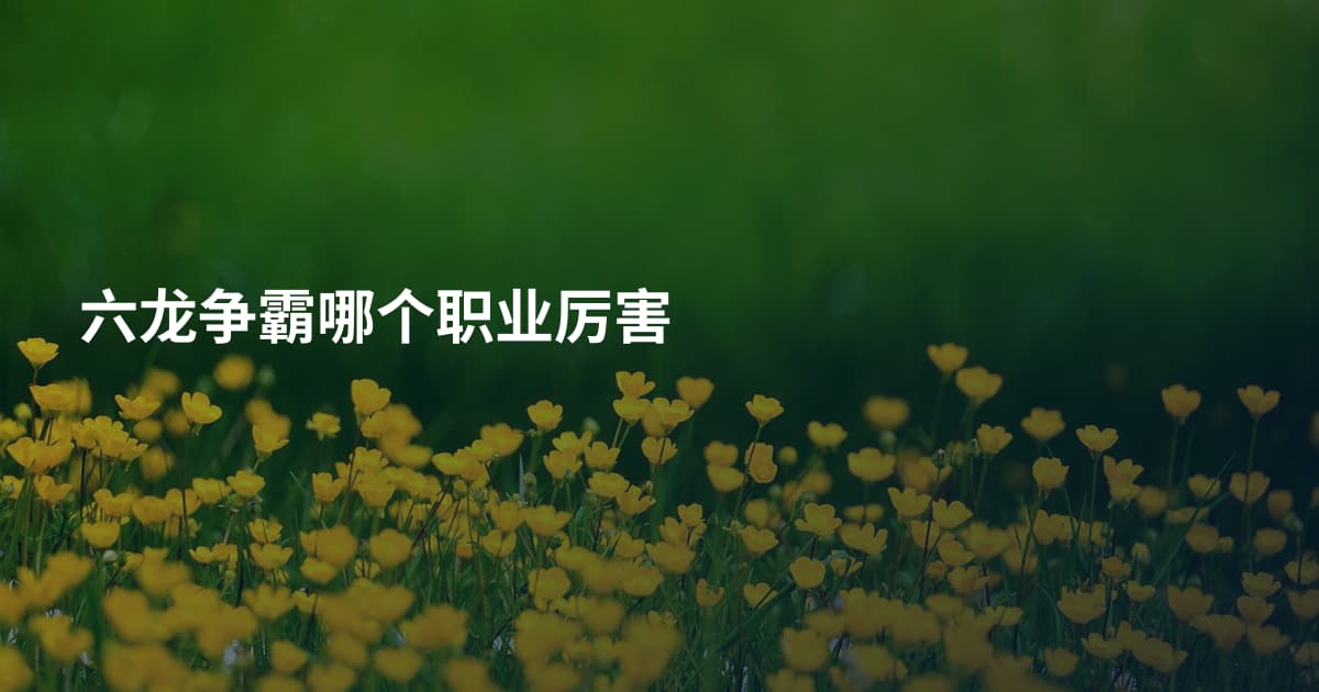 六龙争霸哪个职业厉害