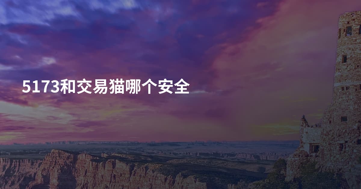5173和交易猫哪个安全