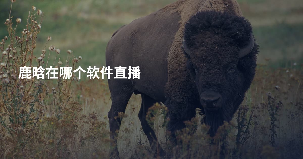 鹿晗在哪个软件直播
