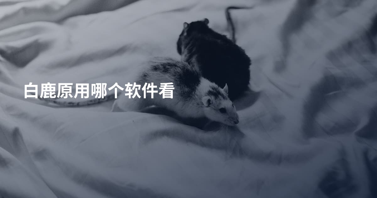 白鹿原用哪个软件看