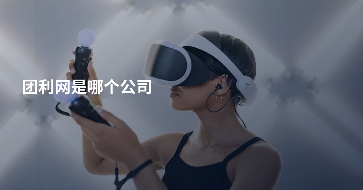 团利网是哪个公司