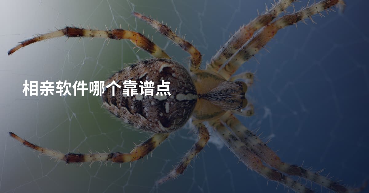 相亲软件哪个靠谱点