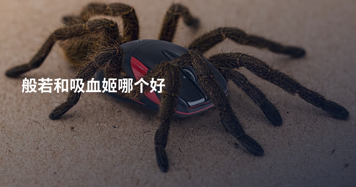 般若和吸血姬哪个好
