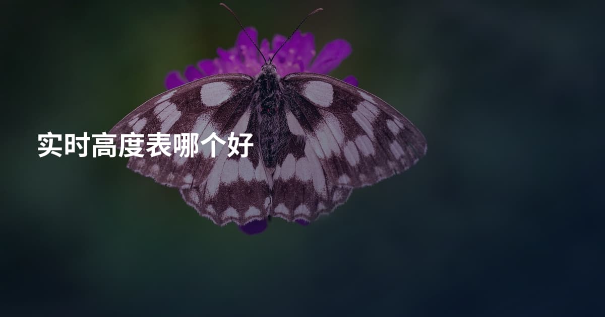 实时高度表哪个好