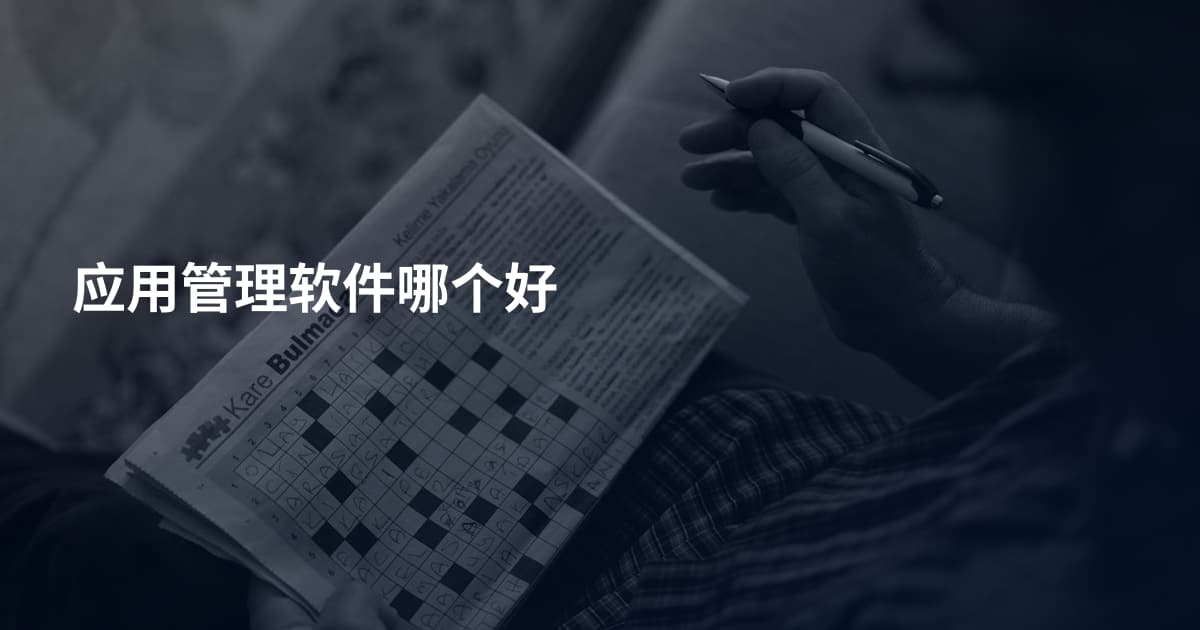 应用管理软件哪个好