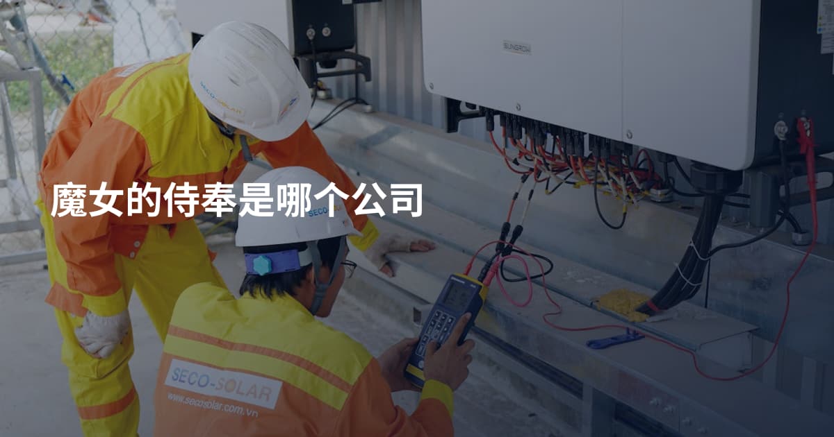 魔女的侍奉是哪个公司