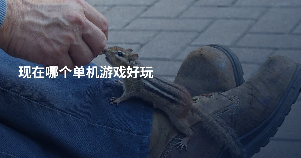 现在哪个单机游戏好玩