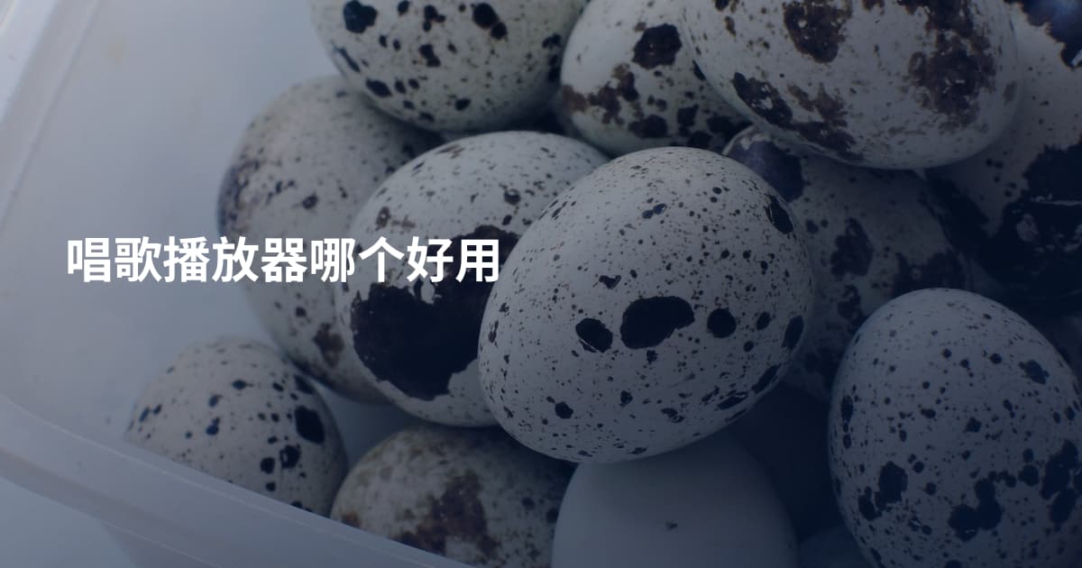 唱歌播放器哪个好用