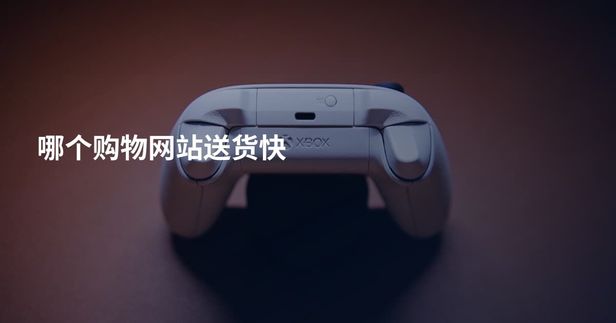 哪个购物网站送货快