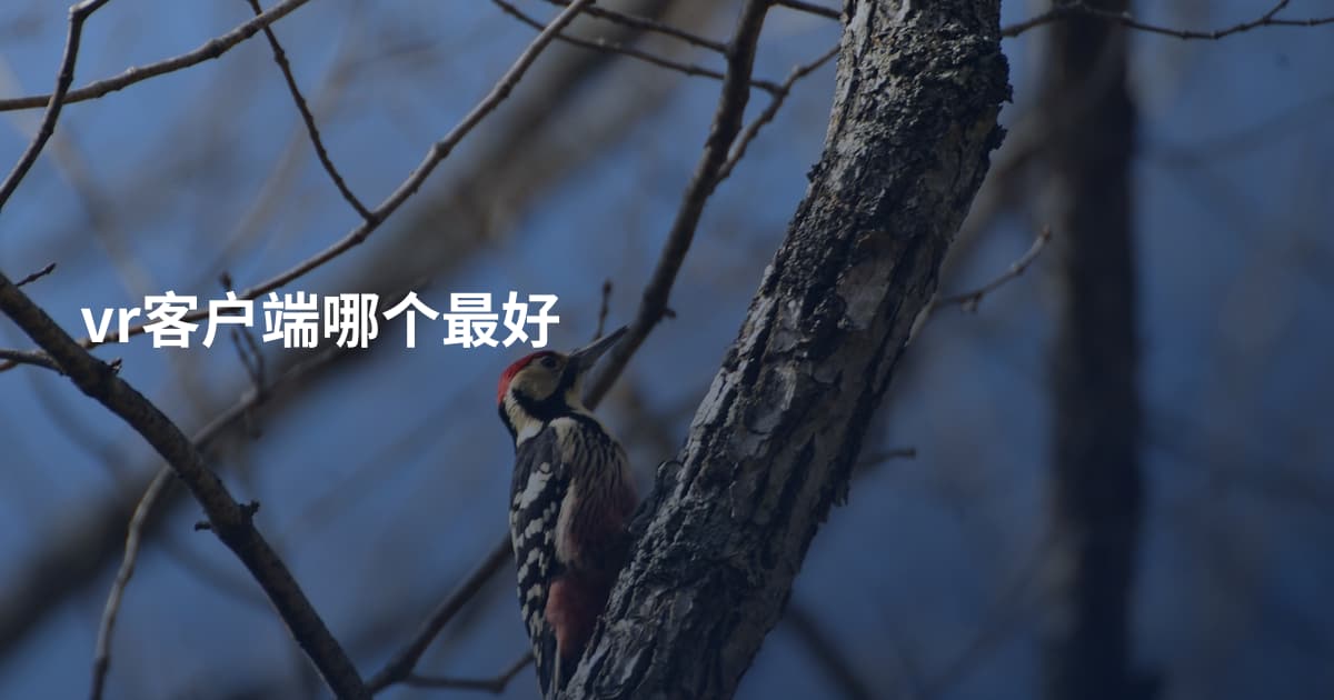 vr客户端哪个最好