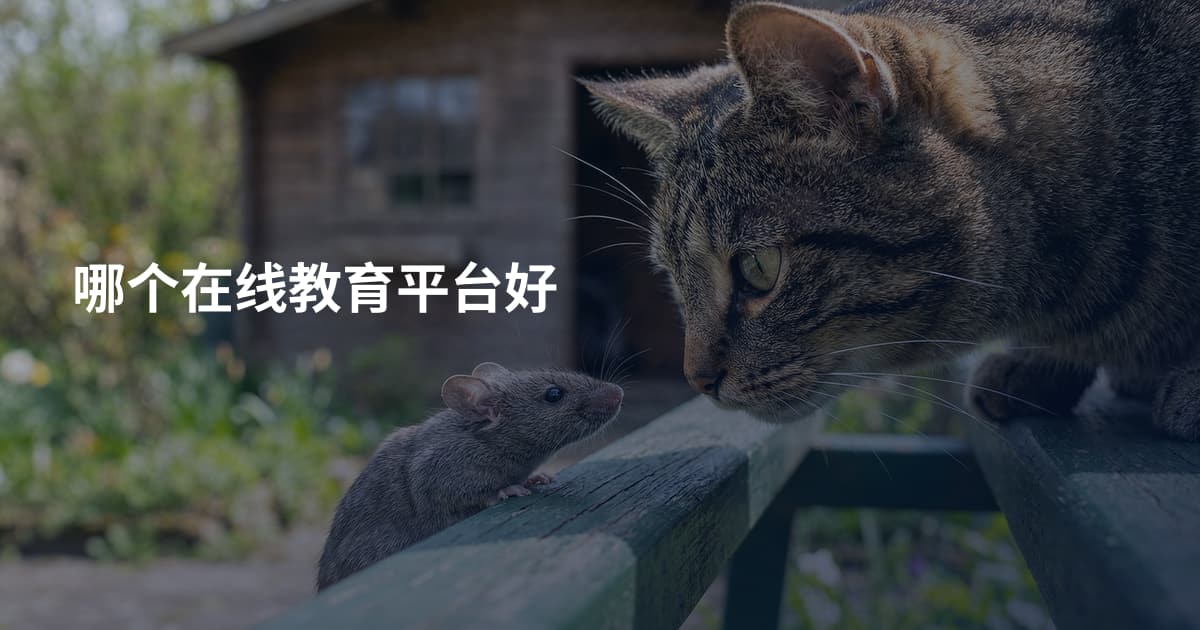 哪个在线教育平台好