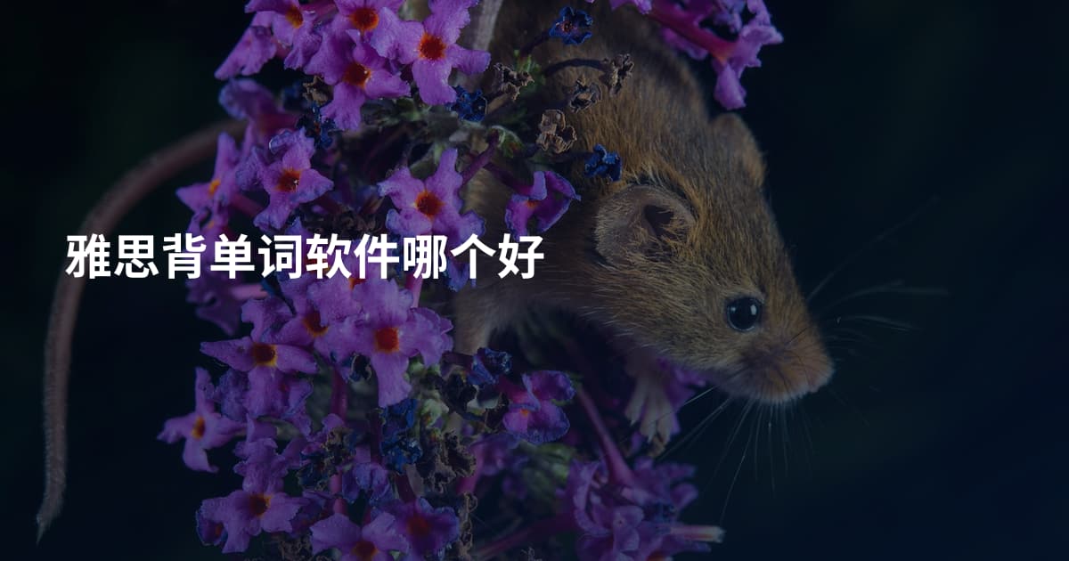雅思背单词软件哪个好