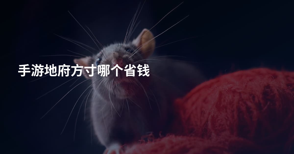 手游地府方寸哪个省钱