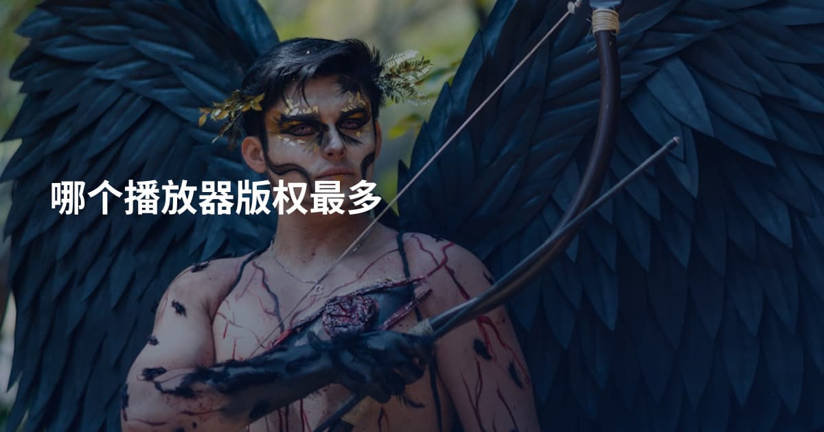 哪个播放器版权最多