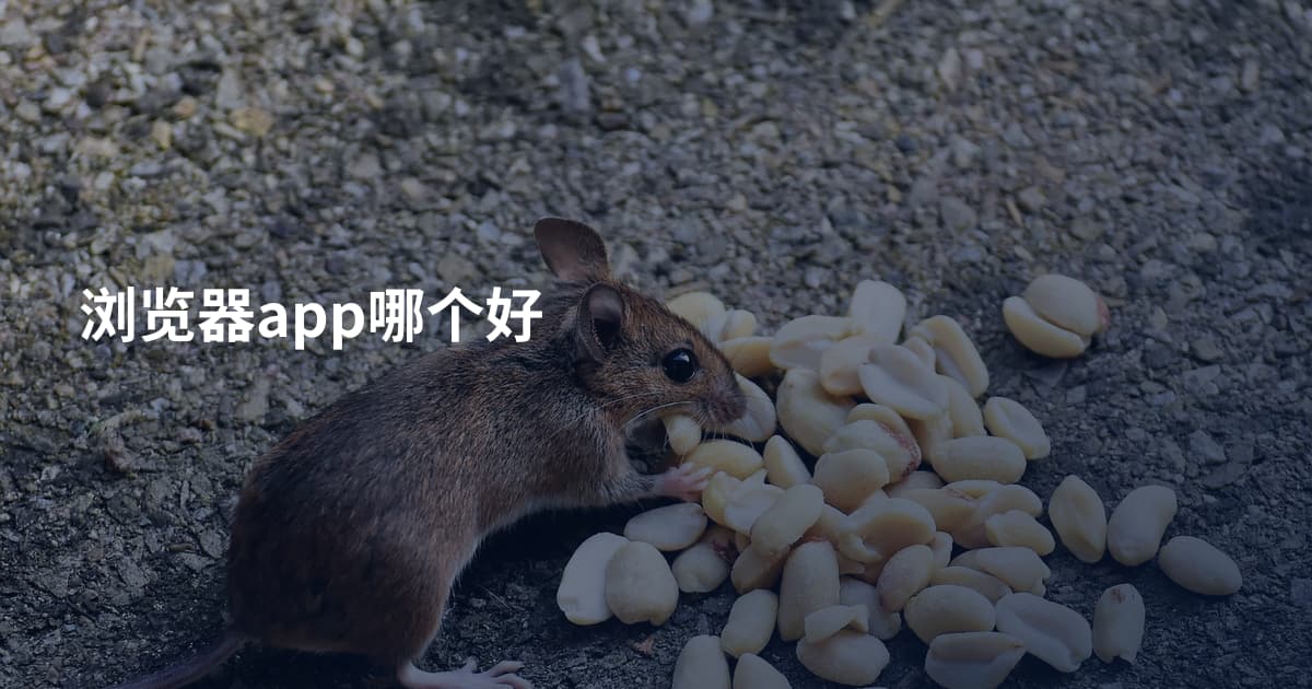 浏览器app哪个好