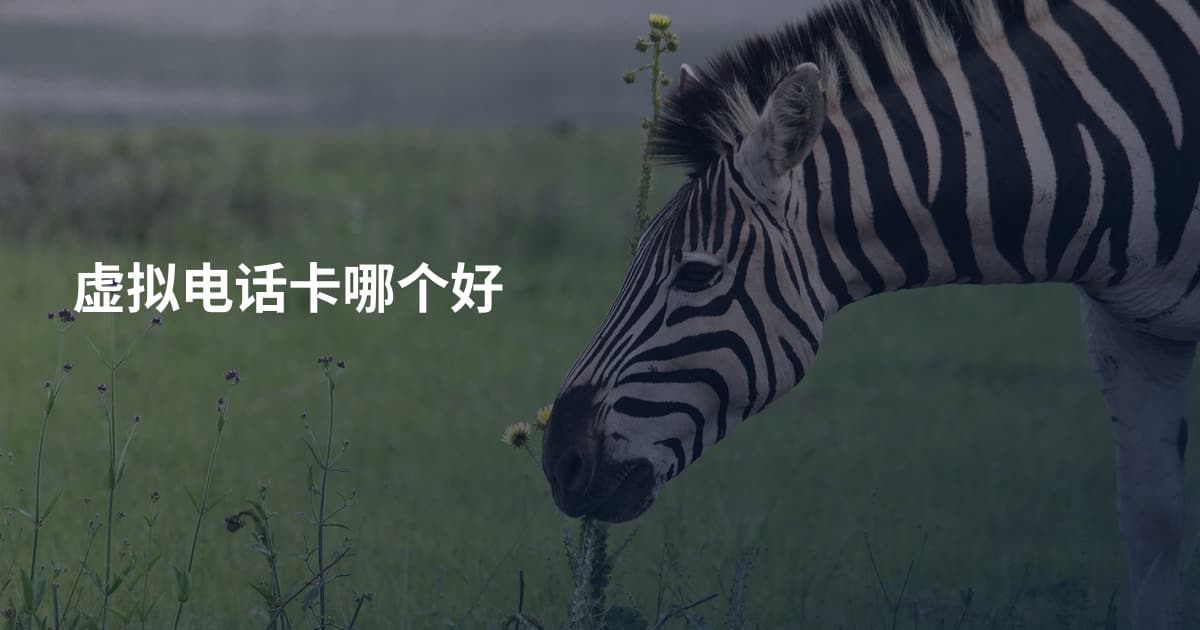 虚拟电话卡哪个好