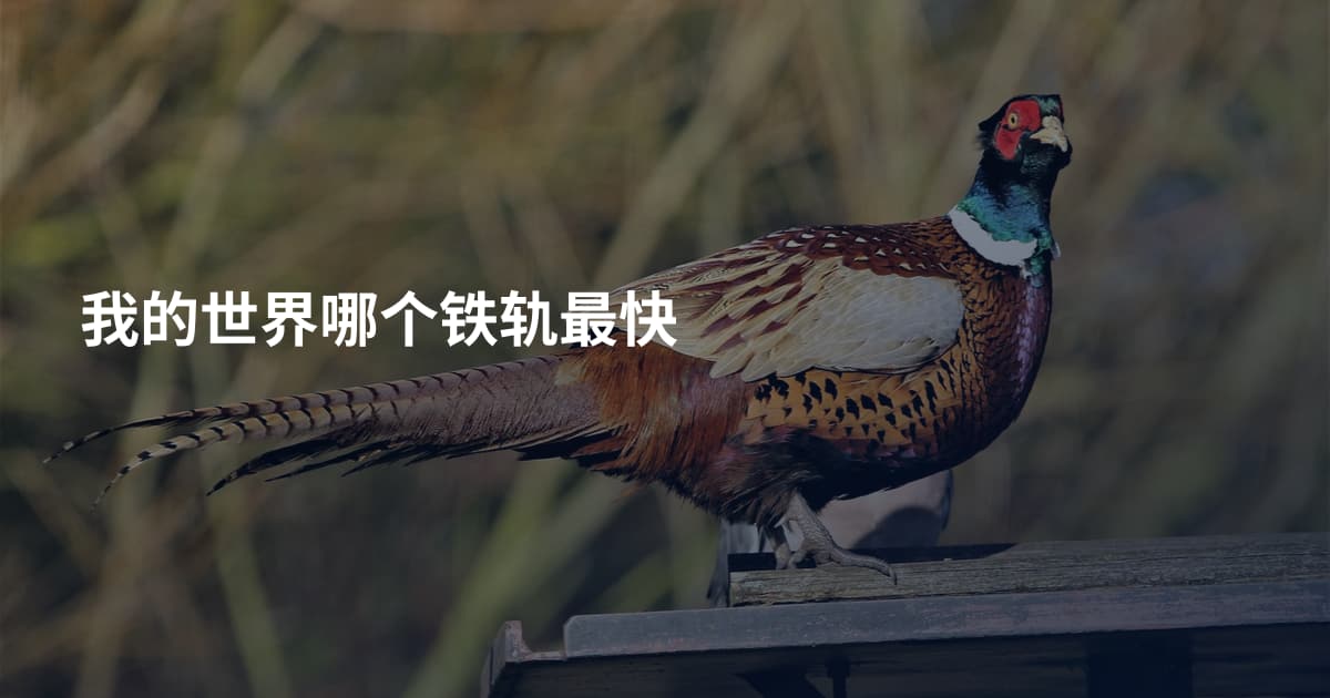 我的世界哪个铁轨最快