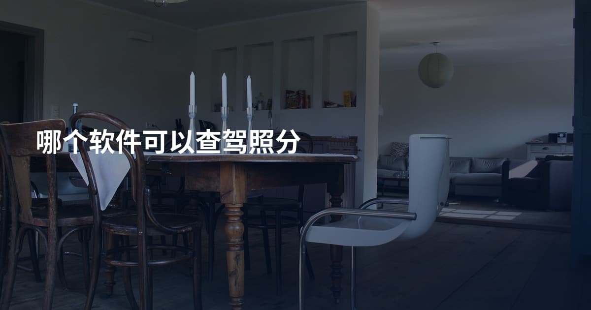 哪个软件可以查驾照分
