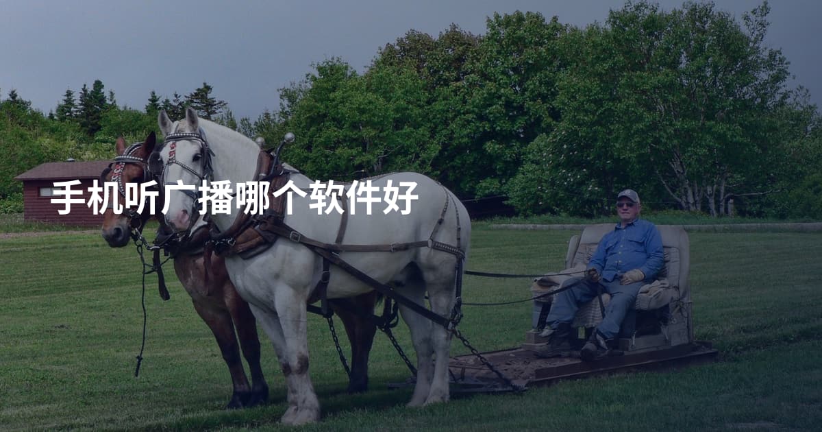 手机听广播哪个软件好