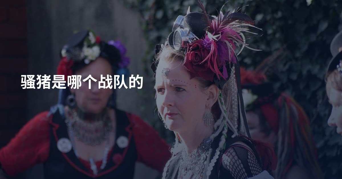 骚猪是哪个战队的
