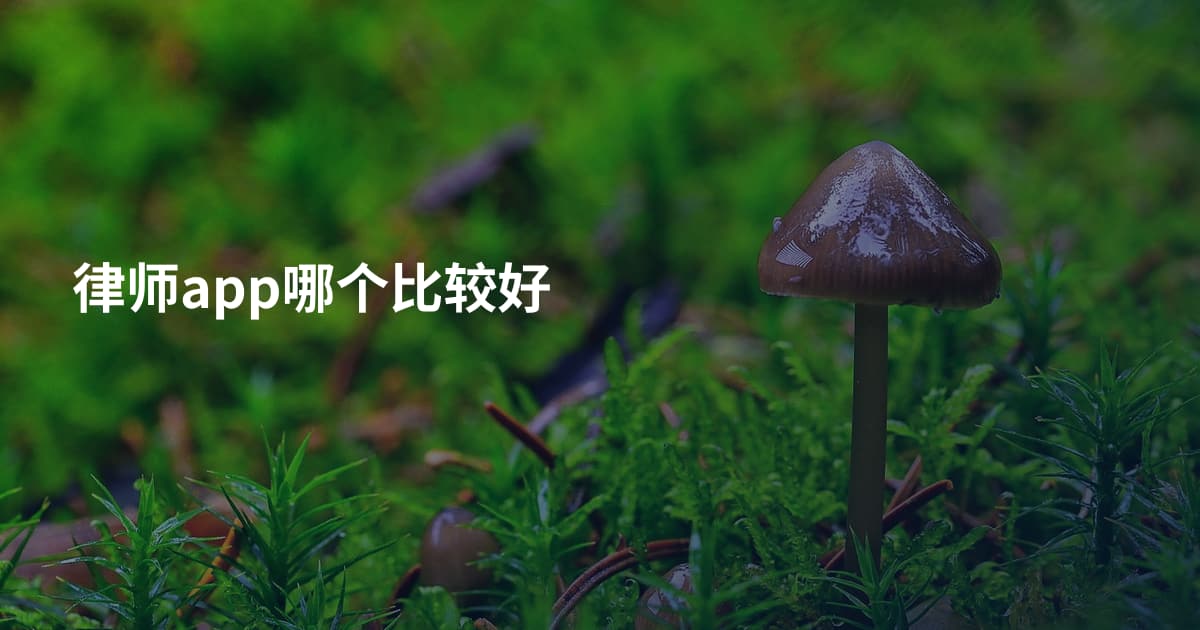 律师app哪个比较好