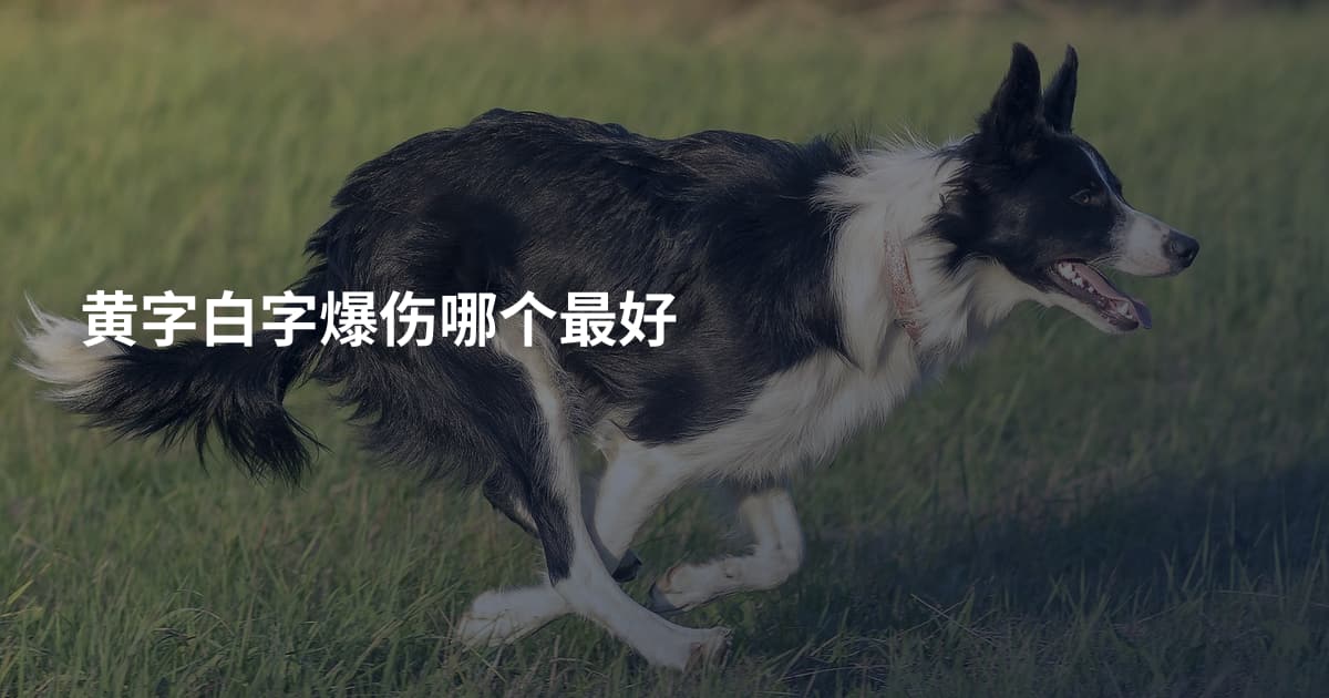 黄字白字爆伤哪个最好