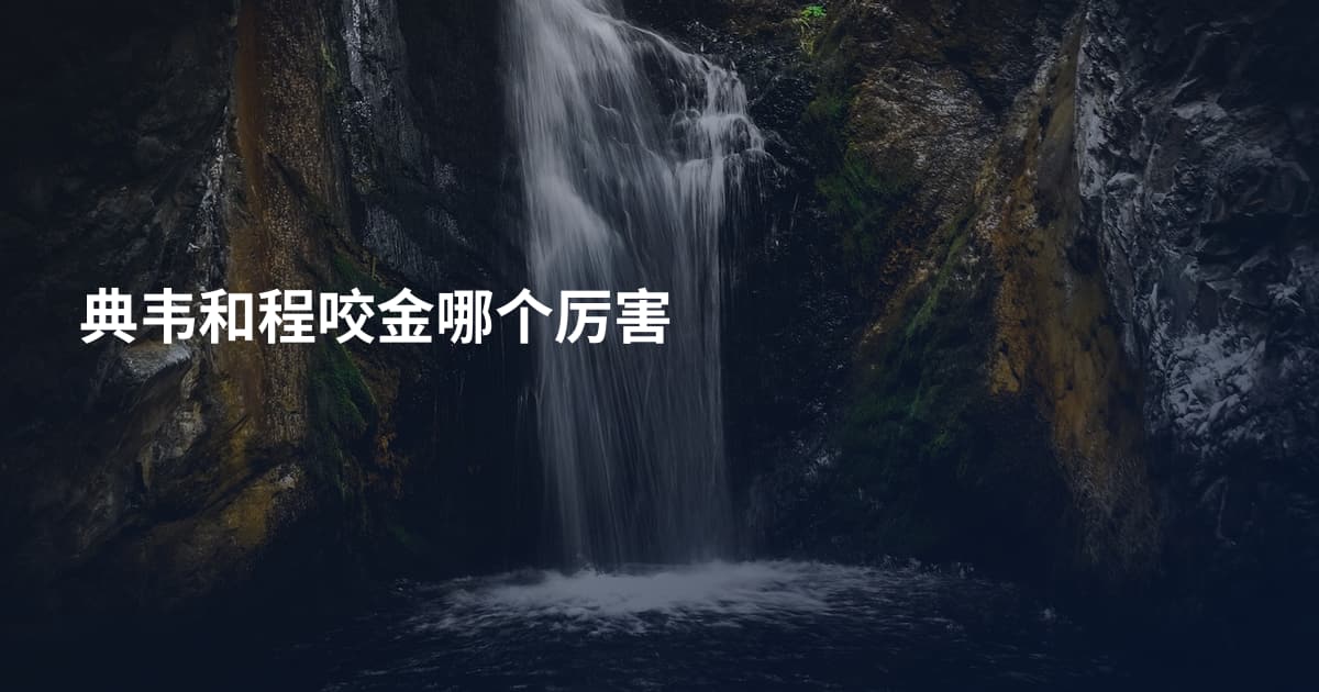 典韦和程咬金哪个厉害