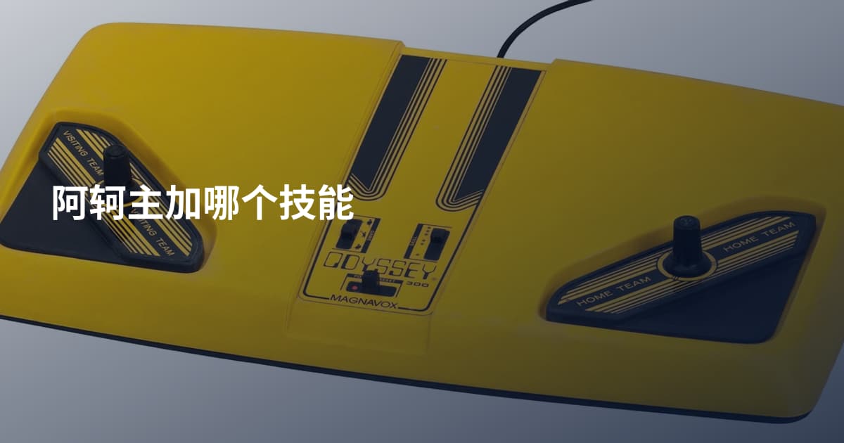阿轲主加哪个技能