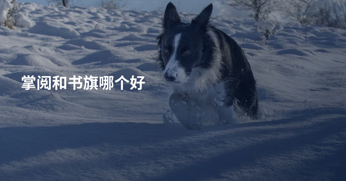 掌阅和书旗哪个好