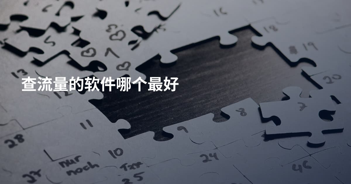 查流量的软件哪个最好