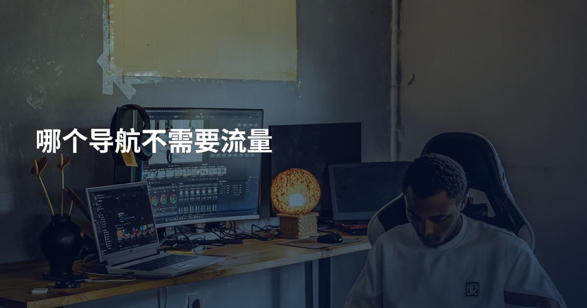 哪个导航不需要流量