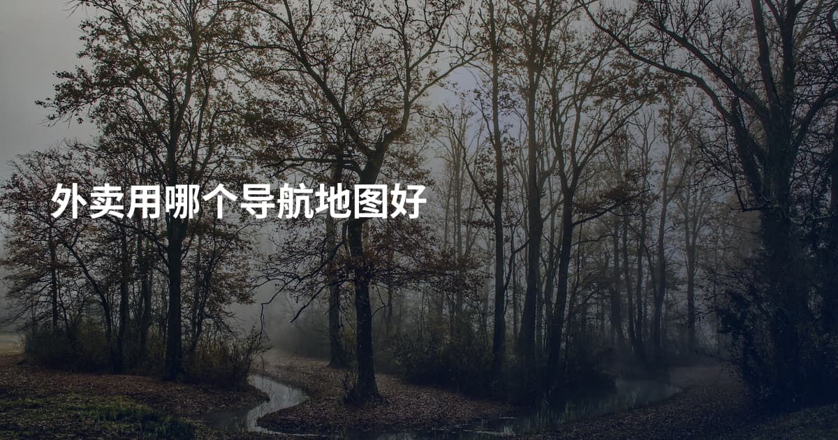 外卖用哪个导航地图好