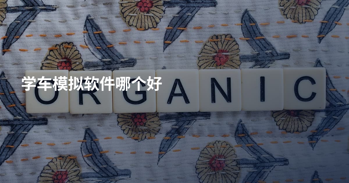 学车模拟软件哪个好