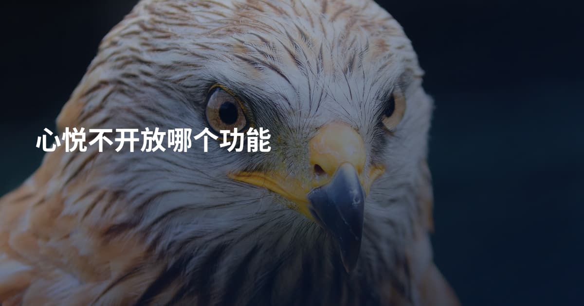 心悦不开放哪个功能